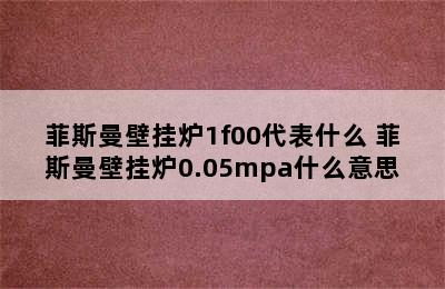 菲斯曼壁挂炉1f00代表什么 菲斯曼壁挂炉0.05mpa什么意思